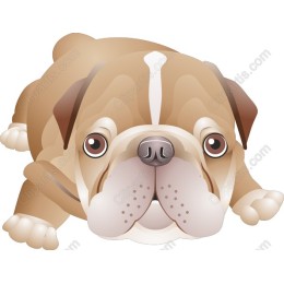 Adorable Bulldog
