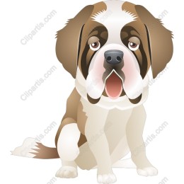 Adorable St. Bernard