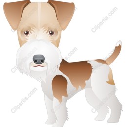 Playful Dog