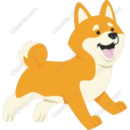 Playful Shiba Inu