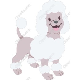 Charming Poodle