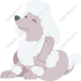 Charming Poodle