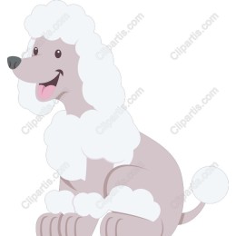 Charming Poodle