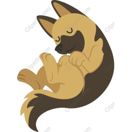 Cozy Sleeping Dog
