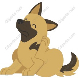 Playful Pup