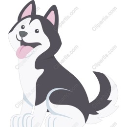 Cheerful Husky Dog