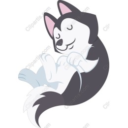 Cute Relaxed Husky