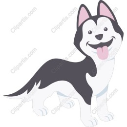 Cheerful Siberian Husky