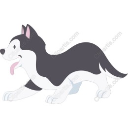 Playful Husky