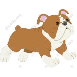 Charming Bulldog