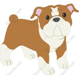 Charming Bulldog