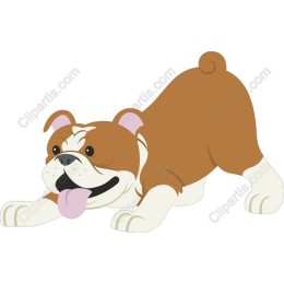 Playful Bulldog