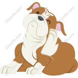 Charming Bulldog