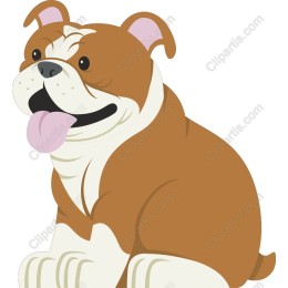 Adorable Bulldog