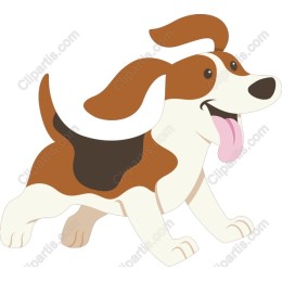 Playful Beagle Dog