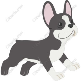 Playful French Bulldog