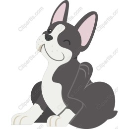 Playful French Bulldog