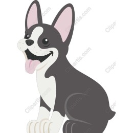 Charming French Bulldog