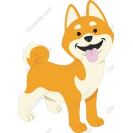 Cheerful Shiba Inu
