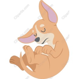 Sleeping Chihuahua
