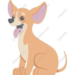 Charming Playful Chihuahua