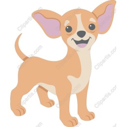 Cheerful Chihuahua