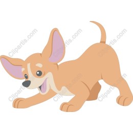 Playful Corgi Puppy