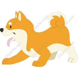 Charming Shiba Inu