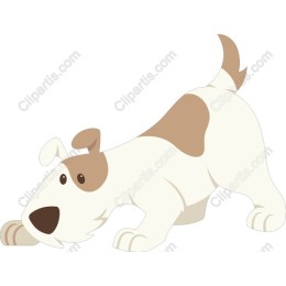 Playful Dog