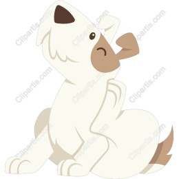 Adorable Dog