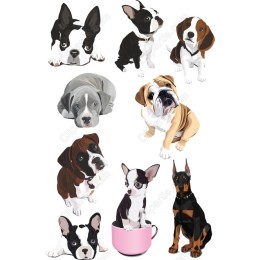 Dog Breeds Set