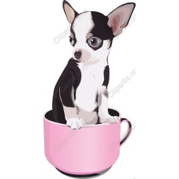 Charming Chihuahua in Pink Cup