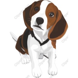 Beagle - Playful Dog Clipart