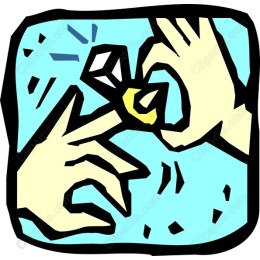 Engagement Ring Proposal
