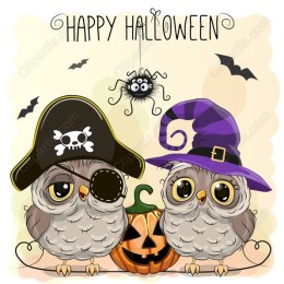 Halloween Owls - Pirate and Witch Duo