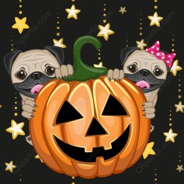 Festive Pug & Pumpkin Halloween
