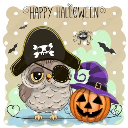 Halloween Pirate Owl