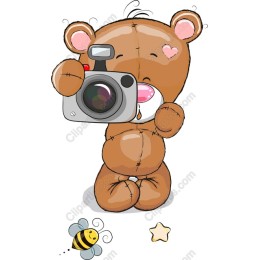 Charming Bear Photographer