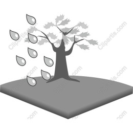 Tranquil Tree with Droplets