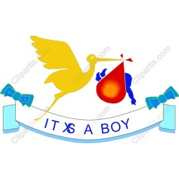 It's a Boy Stork