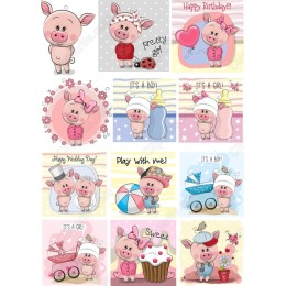 Cute Pig Bundle