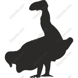 Unique Bird