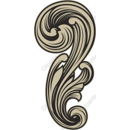 Elegant Swirl