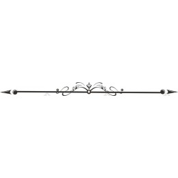 Elegant Decorative Border