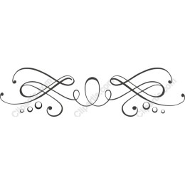 Elegant Decorative Flourish