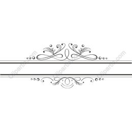 Elegant Vintage Ornamental Frame
