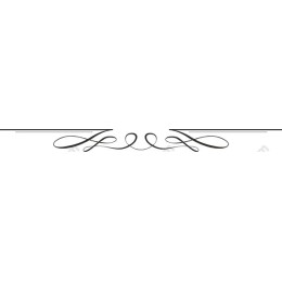 Elegant for Projects