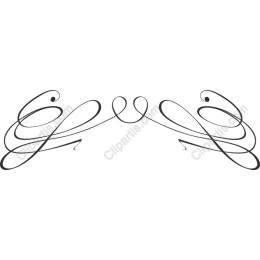 Elegant Decorative Flourish
