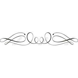 Elegant Decorative Flourish