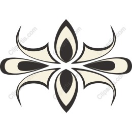 Elegant Floral in Black & Cream